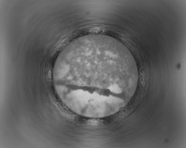 X0000115490375200912041021