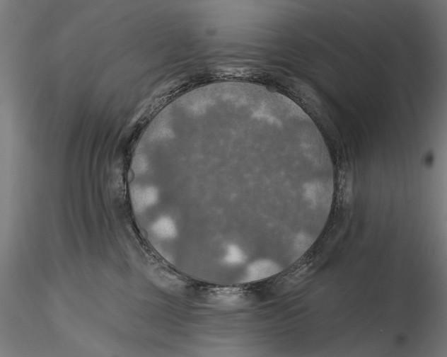 X0000115490377200912041021