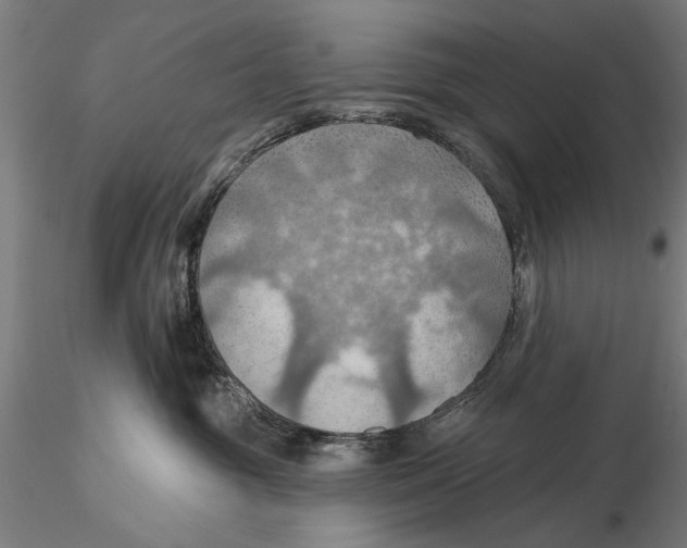 X0000115490381200912041021