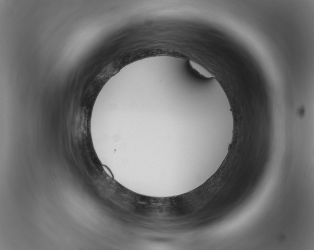 X0000115490382200912041021