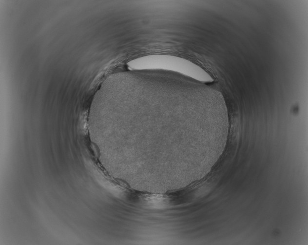X0000115490383200912041021