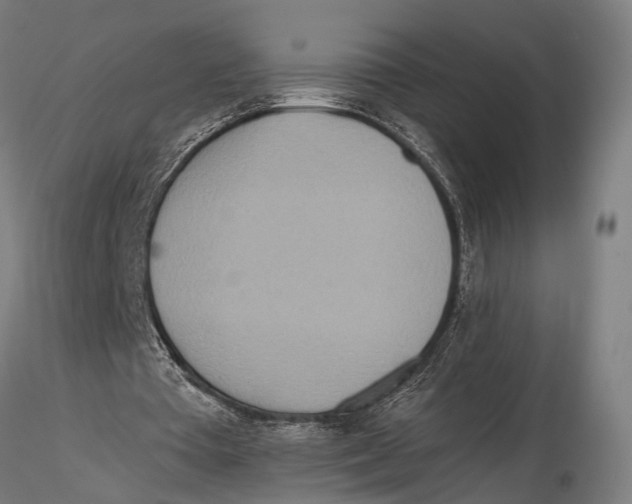 X0000115490385200912041020