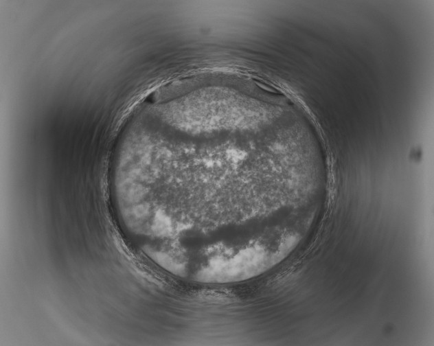 X0000115490386200912041020