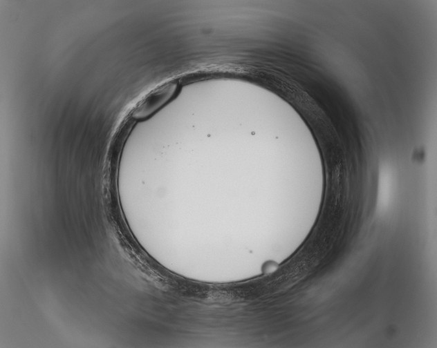 X0000115490388200912041020