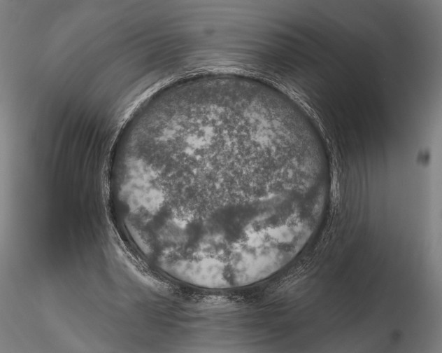 X0000115490390200912041020
