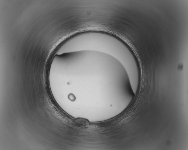 X0000115490391200912041020