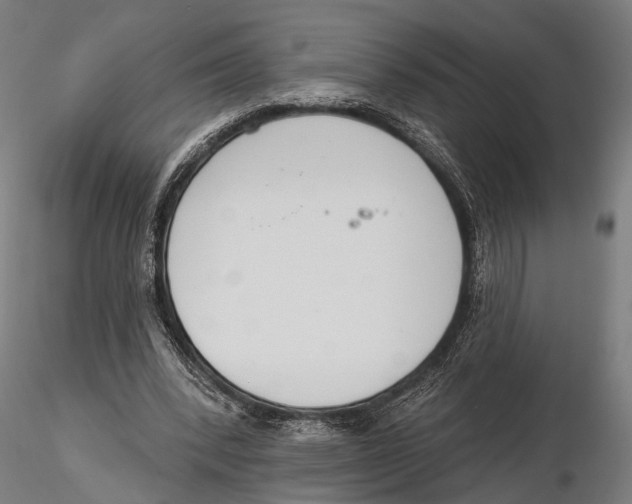 X0000115490392200912041020