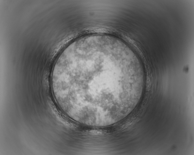 X0000115490394200912041020