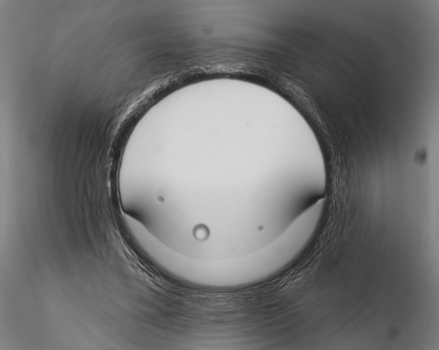 X0000115490395200912041020