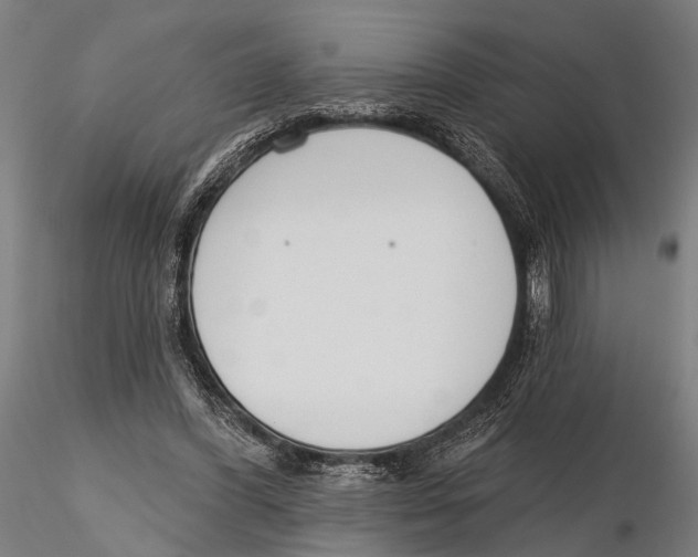 X0000115490396200912041020