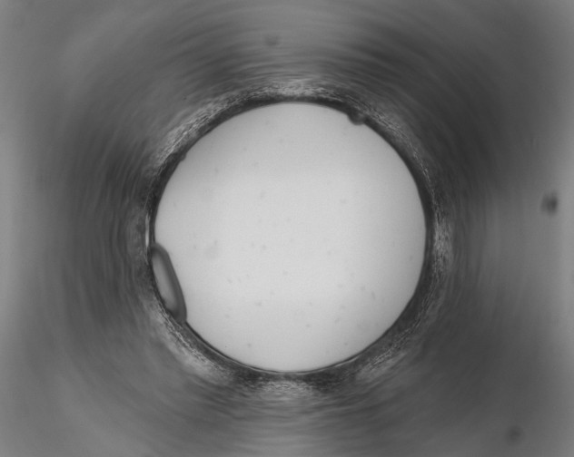 X0000115490397200912041020