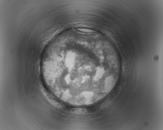 X0000115490398200912041020