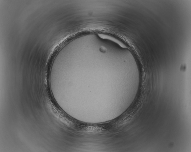 X0000115490399200912041020
