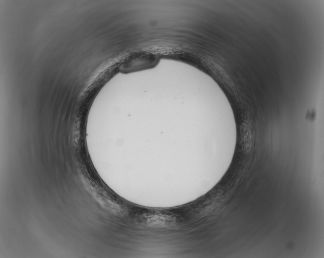 X0000115490400200912041020