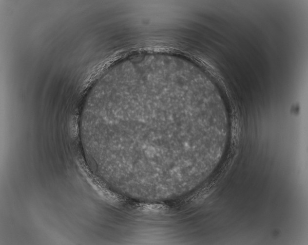 X0000115490401200912041020