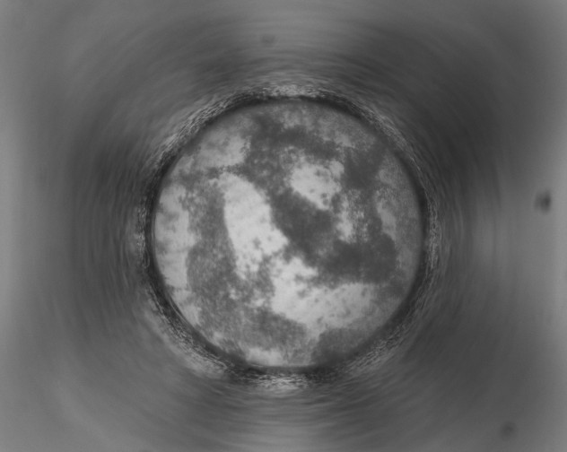 X0000115490402200912041020