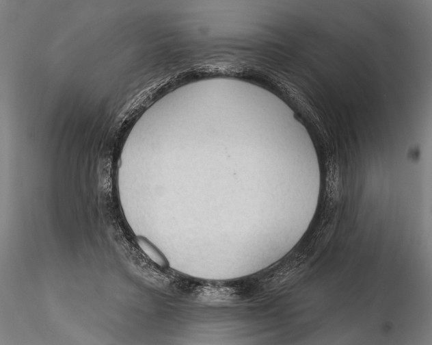 X0000115490403200912041020