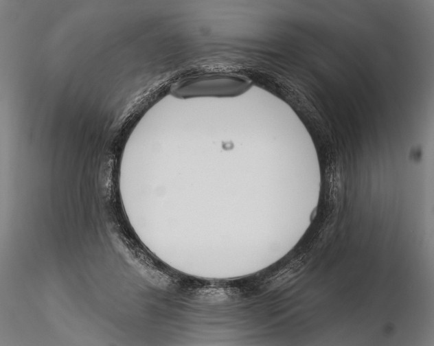 X0000115490404200912041020