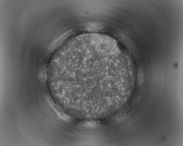 X0000115490405200912041020