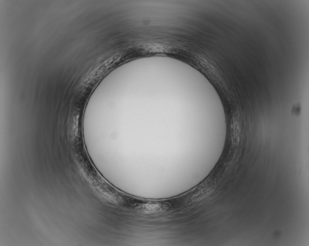 X0000115490406200912041020
