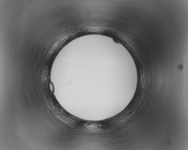 X0000115490407200912041020