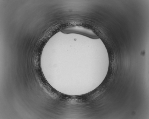 X0000115490408200912041020