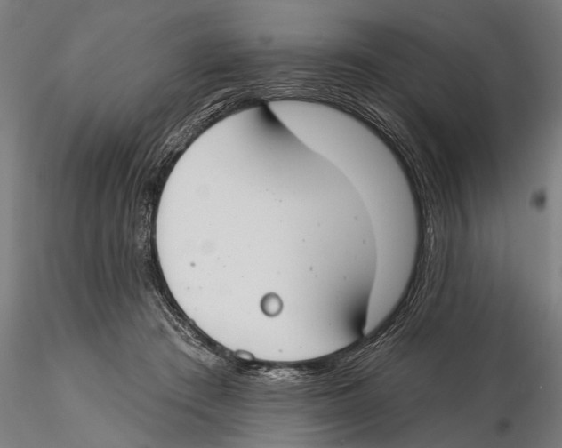 X0000115490409200912041020