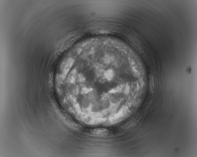 X0000115490410200912041020