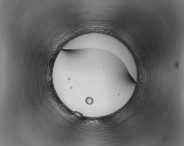 X0000115490411200912041020