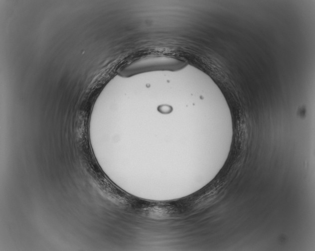 X0000115490412200912041020