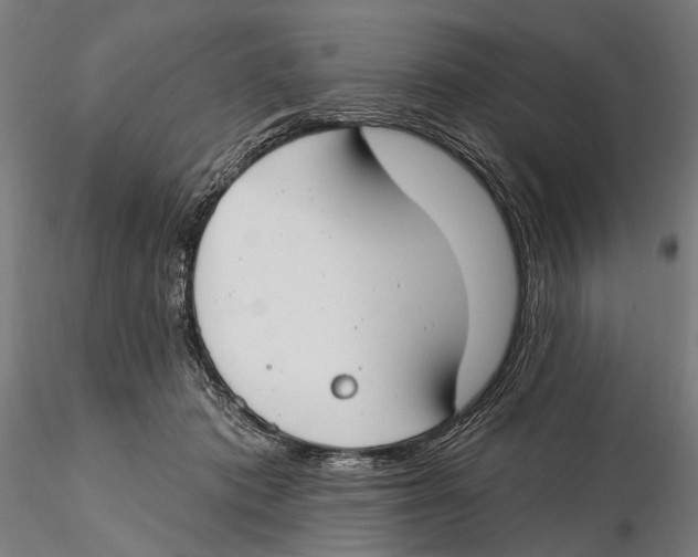 X0000115490413200912041020