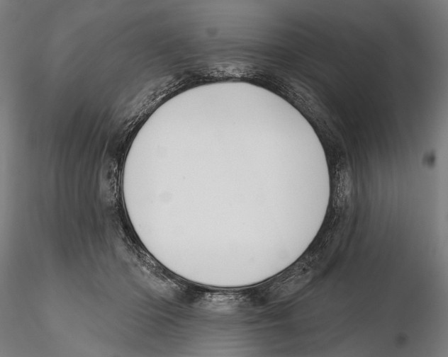 X0000115490414200912041020