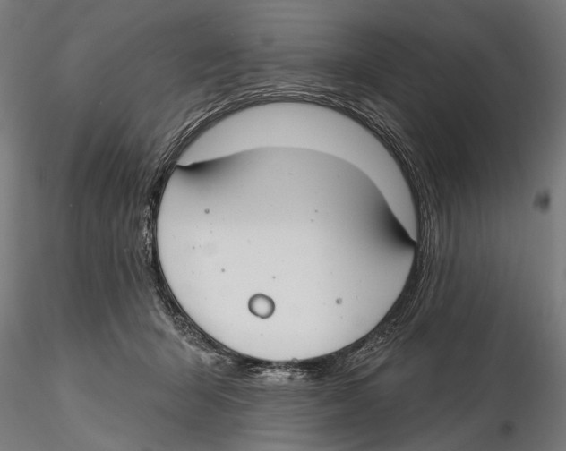 X0000115490415200912041020