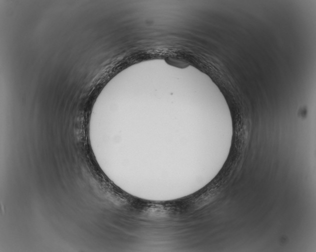 X0000115490416200912041020