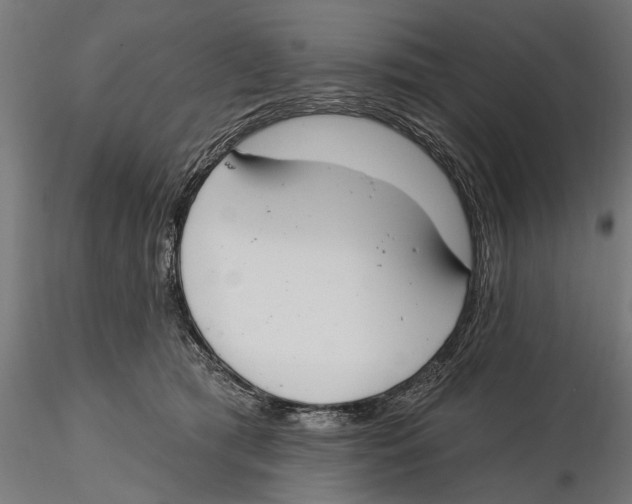 X0000115490417200912041020