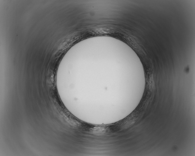 X0000115490418200912041020
