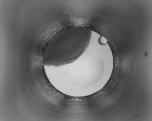 X0000115490419200912041020
