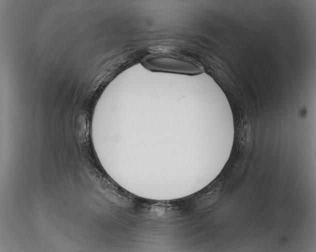 X0000115490420200912041020