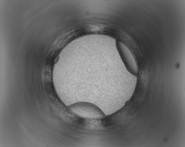 X0000115490421200912041020
