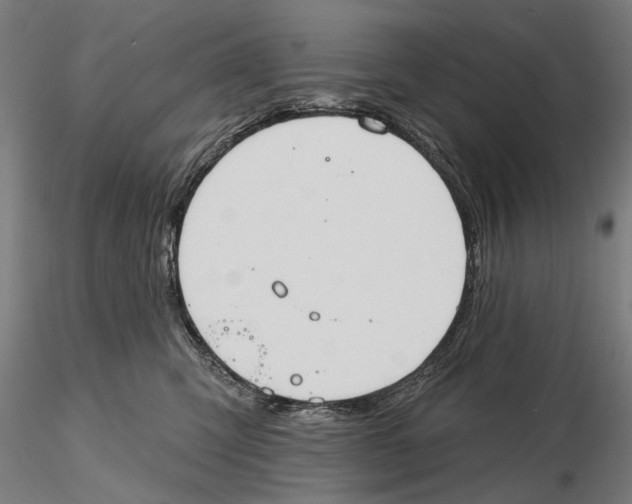 X0000115490423200912041020