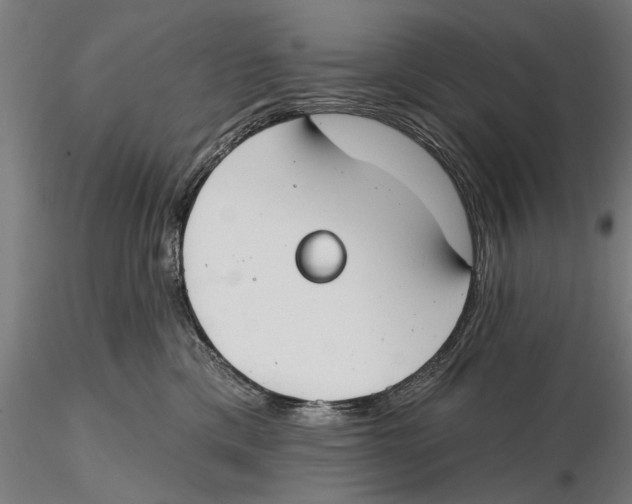 X0000115490425200912041020
