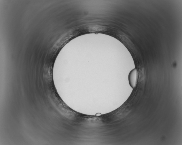 X0000115490426200912041020