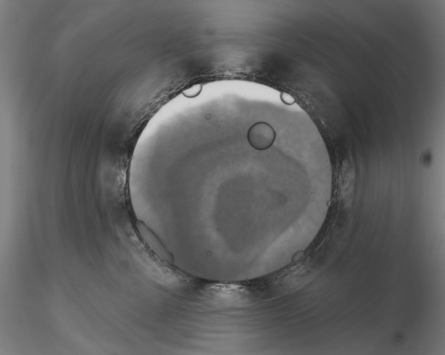 X0000115490427200912041020