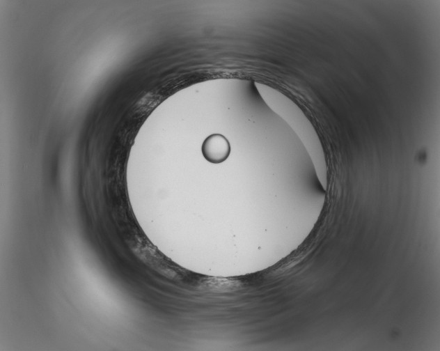 X0000115490429200912041020