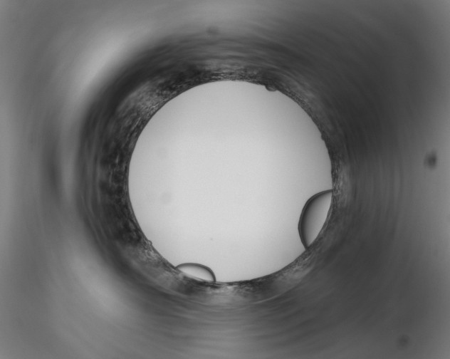 X0000115490430200912041020