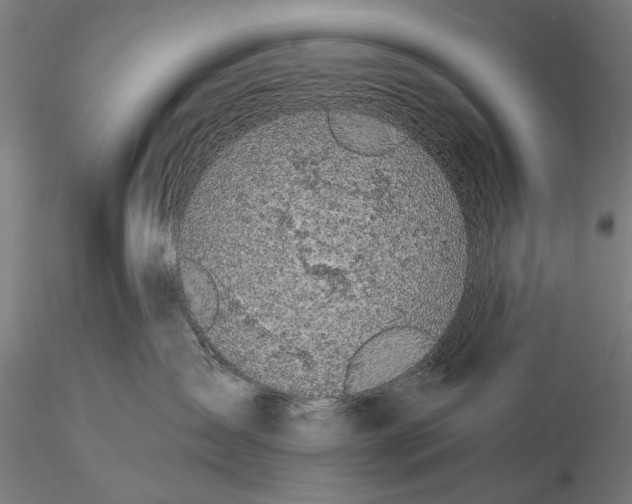 X0000115490431200912041020