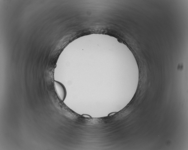 X0000115490432200912041020