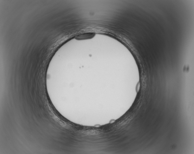 X0000115490433200912041019