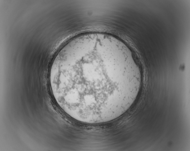 X0000115490434200912041019