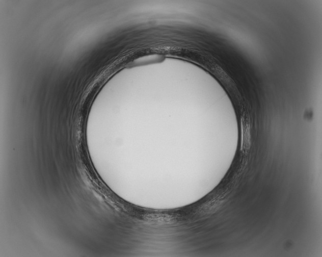 X0000115490435200912041019